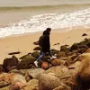 Антон Иванов